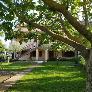  Apartment Dado